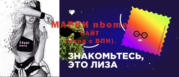 дурь Алексин