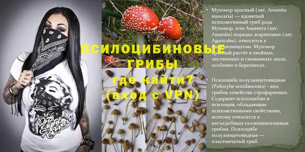 дурь Алексин